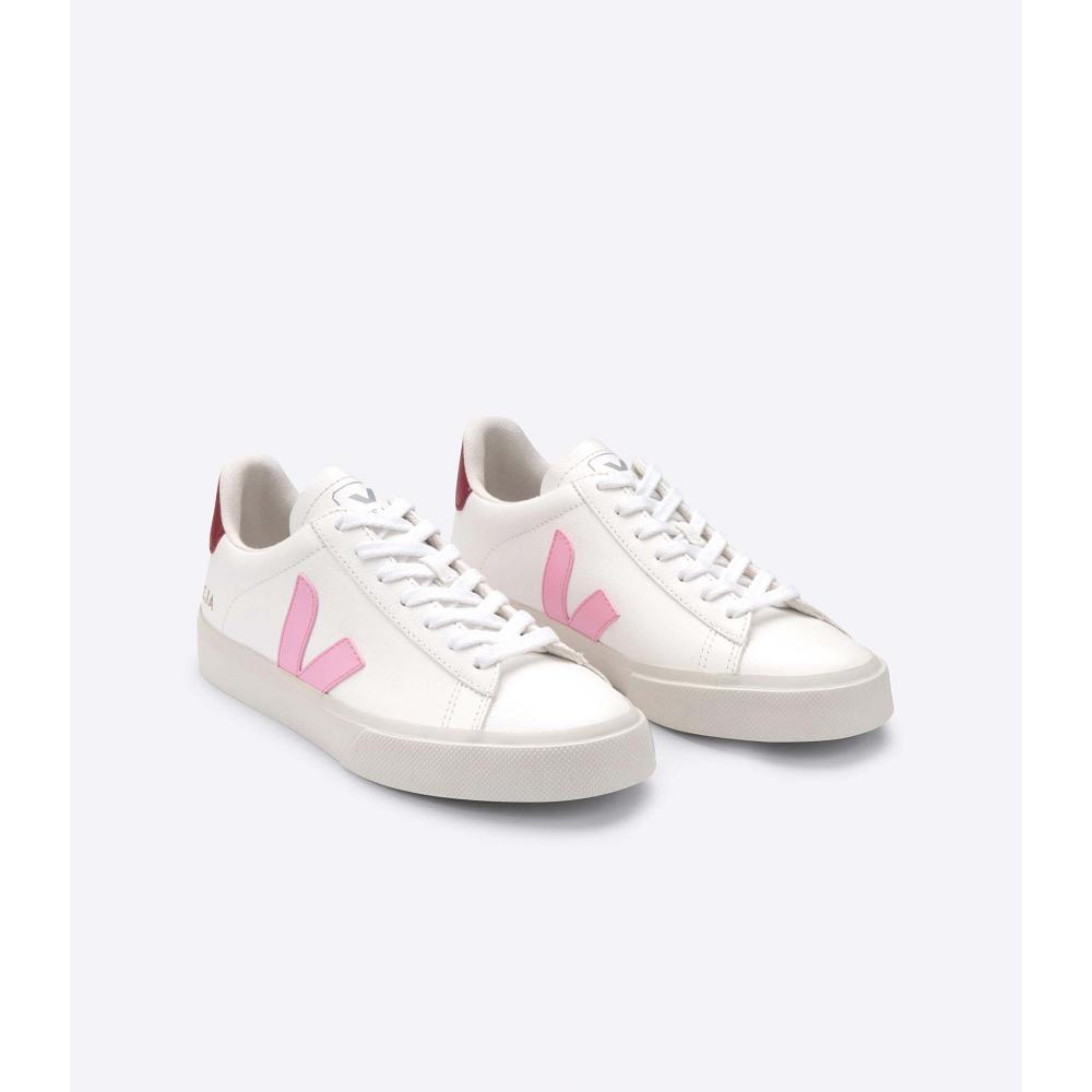 Veja CAMPO CHROMEFREE Low Tops Sneakers Herre White/Pink | NO 293YXF